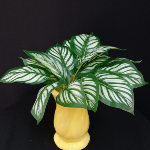 Folhagens Tropicais Decorativas Permanentes - Folhas Verde Listras Brancas Zebra